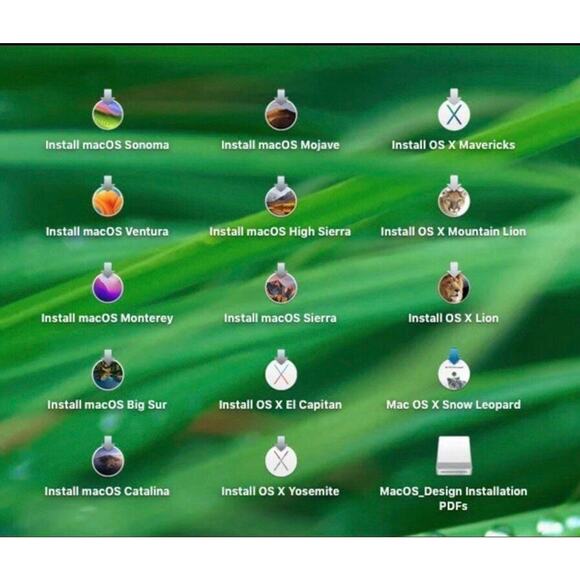 128GB USB 14-in-1 Apple MacOS bootable installer, upgrade/repair service - Picture 3 of 7